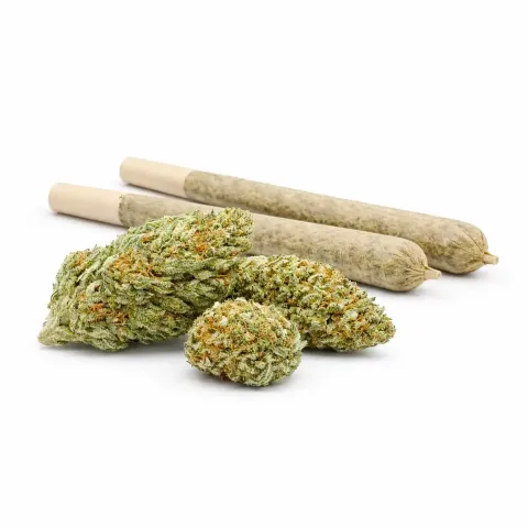 Pre-Roll 10-OH-HHC Blüte Blueberry