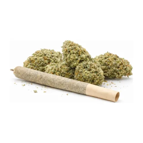 Pre-Roll 10-OH-HHC Flower Sorbetto – Hauptansicht