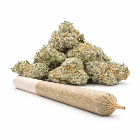 Pre-Roll 10-OH-HHC Blüte Sugar Cream
