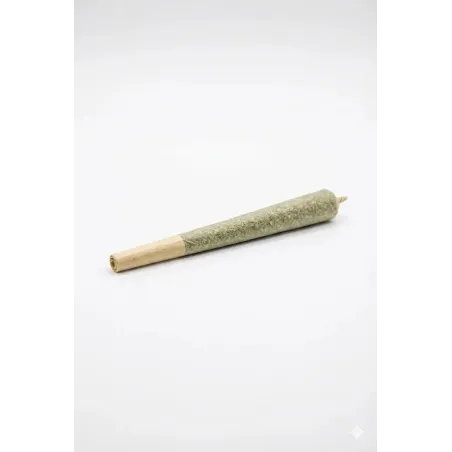 Pre-Roll 10-OH-HHC – Seitenansicht