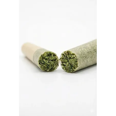 Pre-Roll 10-OH-HHC – Hauptansicht