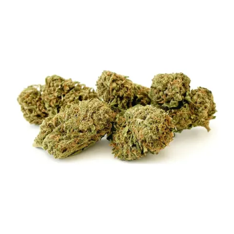 10-OH-HHC Blumen Sorbetto – 1
