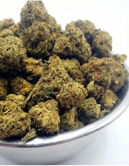 CBD Blüte Tutti Frutti – 20G Beutel – Nahaufnahme