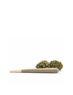 Pre-Roll 10-OH-HHC – Hauptansicht