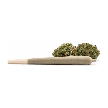 Pre-Roll 10-OH-HHC – Hauptansicht