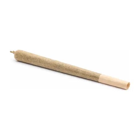 Pre-Roll Sour Tangie CBD – lang