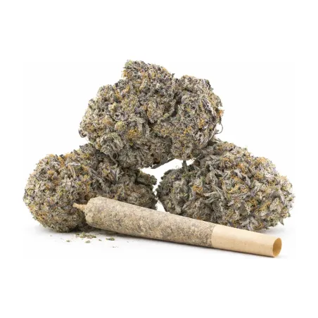 Pre-Roll Sour Tangie CBD – Hauptansicht