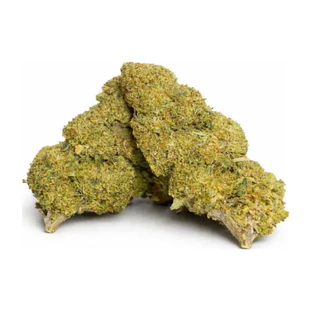 Apple Fritter 10-OH-HHC Blüte