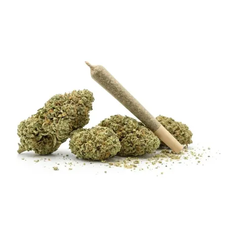 THCX Pre-Roll Sorbetto – 1