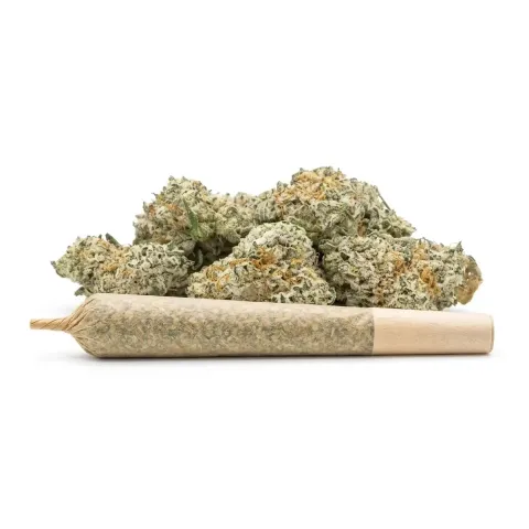 THCX Pre-Roll Sugar Cream – 1