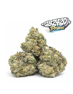 Exklusiv Gbz Prime – THCX Papaya Punch – Hauptansicht