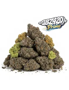 Pack Gbz Prime - CBD Blümen – Hauptansicht