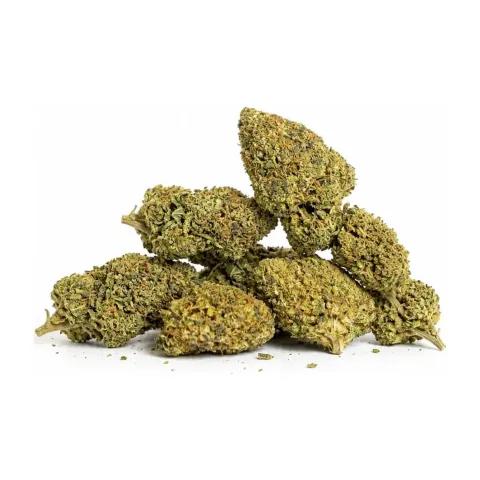 THCX Blüten Girl Scout Cookie – Gbz420 – Hauptansicht