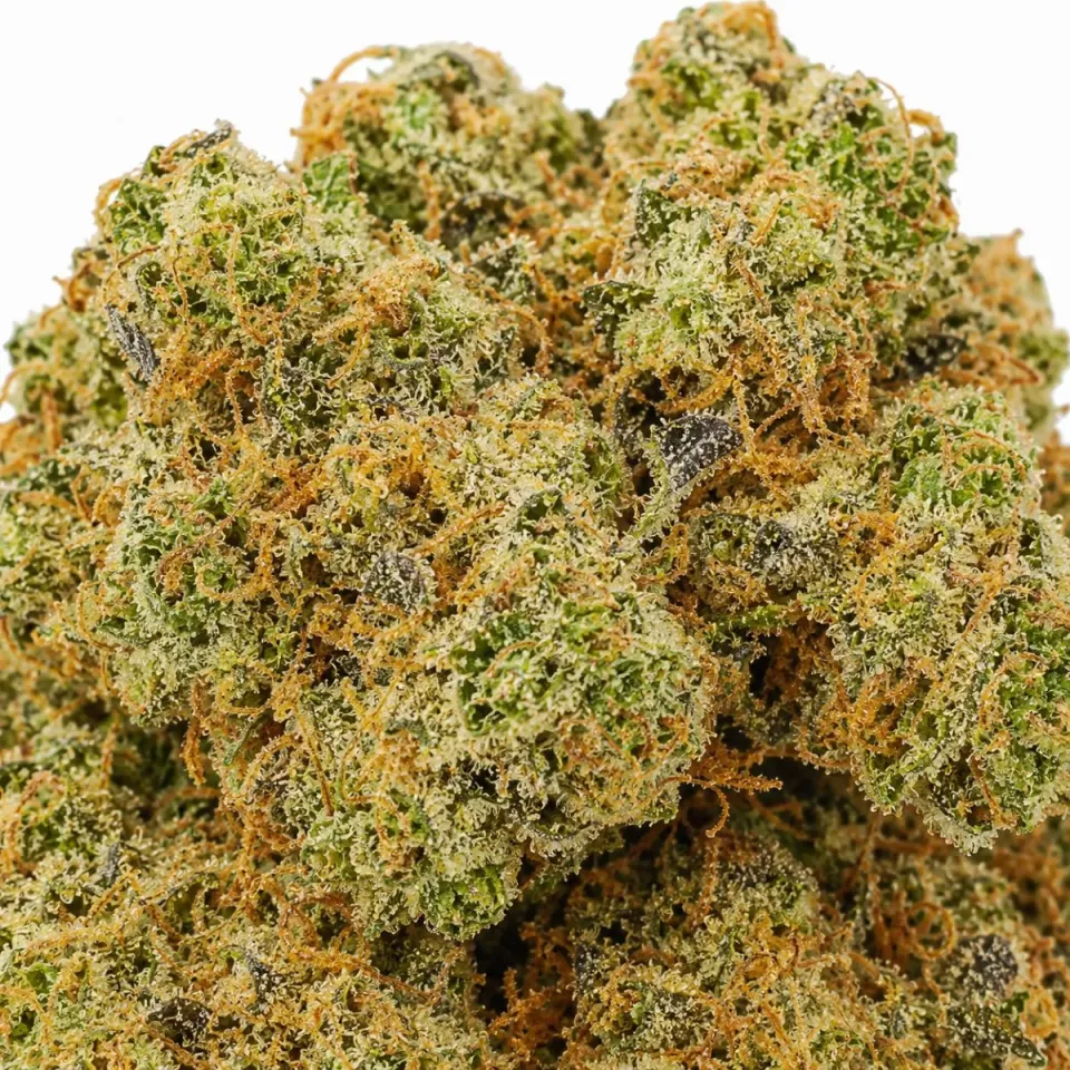 THCX Premium Blüte Snow Cake – Nahaufnahme