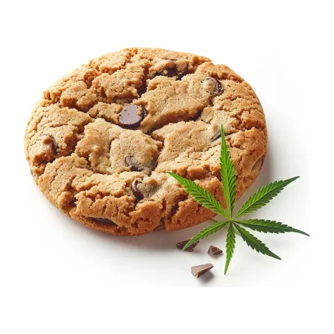 Space Cake 50mg THC