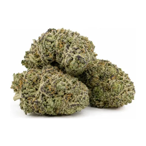 THCX Blumen White Widow – Hauptansicht