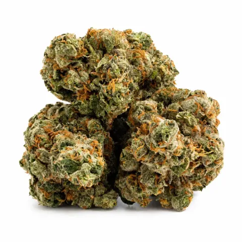THCX Blüten Mystic Mango – Hauptansicht