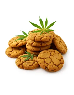 Space Cake 750mg THC – Hauptansicht