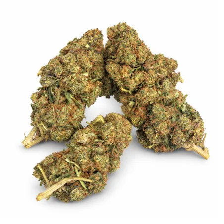 THCX Premium Blüten OG Kush