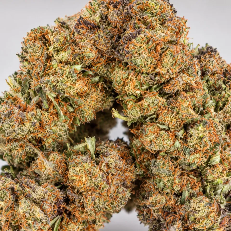 THCX Premium Blüten OG Kush