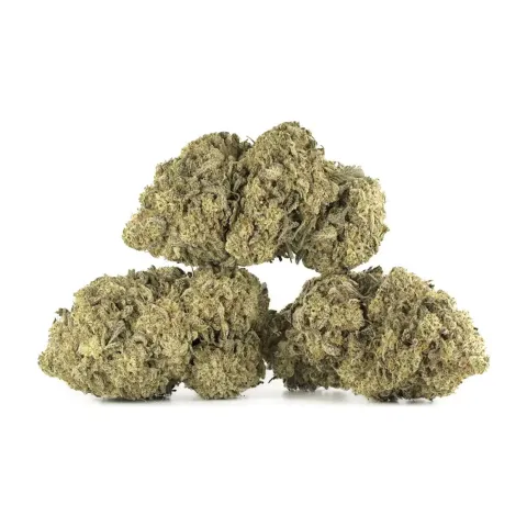 Amnesia CBD Blüten – Indoor Cannabis