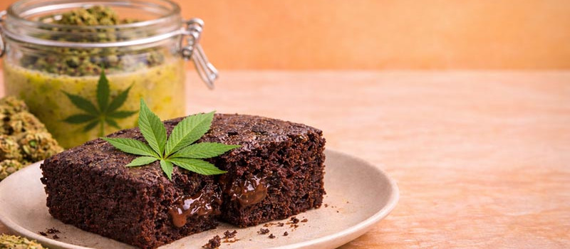 Was ist ein Space Cake? Zutaten, Wirkung und Risiken