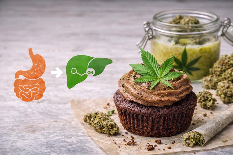 Was ist ein Space Cake? Zutaten, Wirkung und Risiken